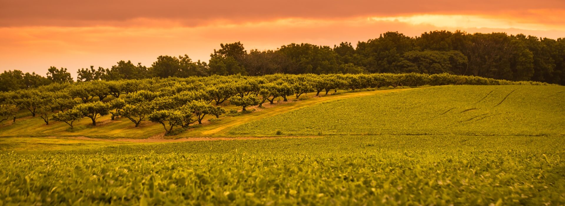 Sustainable Jaindl Farm