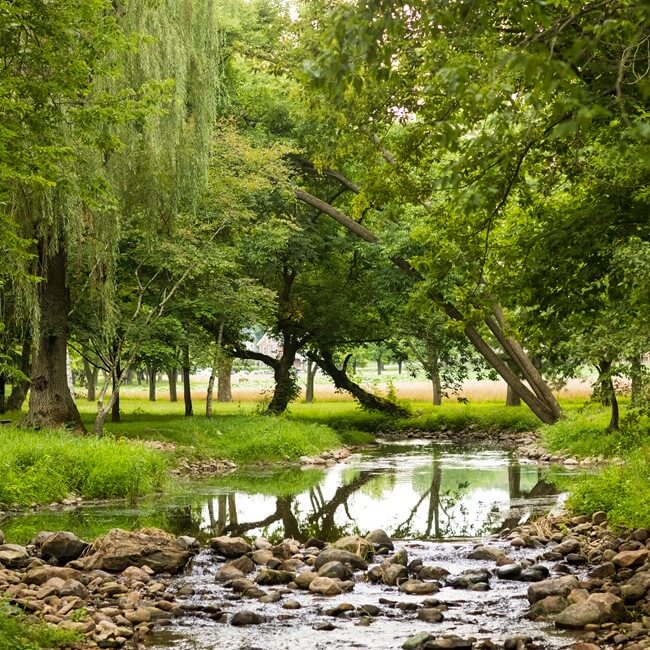 Jaindl in the Lehigh Valley