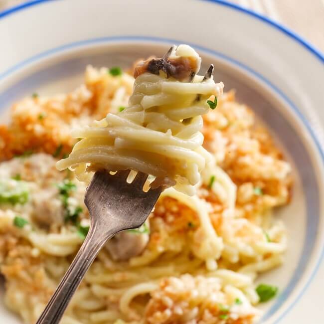 Turkey Tetrazzini